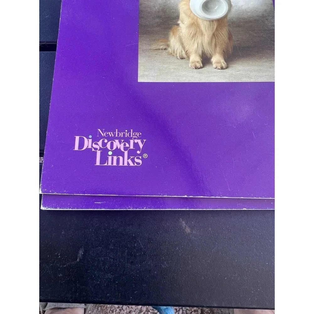 Lot‎ Of 4 Bowls Newbridge discovery links By Anne Miranda Set A (Early)
